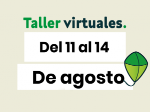 Talleres virtuales de acompañamiento