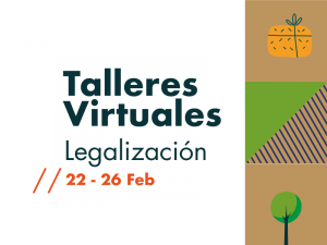 Talleres virtuales de legalización.