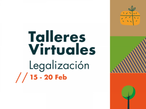 Talleres virtuales de legalización