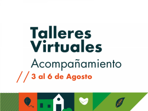 Talleres virtuales del 3 al 6 de agosto