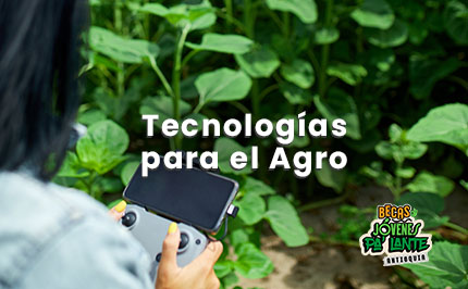 Becas, Jóvenes pa' lante Antioquia Corporación Gilberto Echeverri mejía TematicasWeb Becas AntioquiaMesa de trabajo 1 copia 5 1 - Becas, Jóvenes pa' lante Antioquia Corporación Gilberto Echeverri mejía
